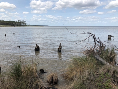 Waterfowl Hunting Property, NC - image 19