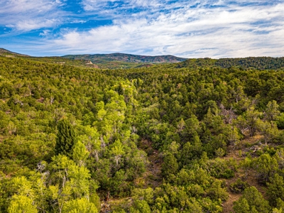Recreational Ranch With Lodge Bordering National Forest CO - image 6