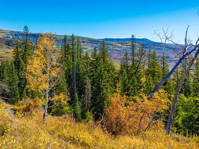 Recreational Ranch With Lodge Bordering National Forest CO - image 48