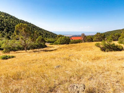 Recreational Ranch With Lodge Bordering National Forest CO - image 37