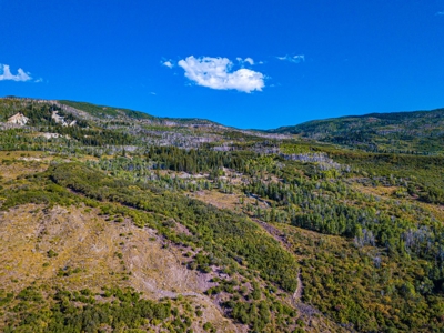 Recreational Ranch With Lodge Bordering National Forest CO - image 39