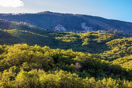 Recreational Ranch With Lodge Bordering National Forest CO - image 32