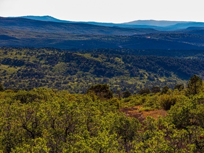 Recreational Ranch With Lodge Bordering National Forest CO - image 43
