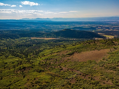 Recreational Ranch With Lodge Bordering National Forest CO - image 38