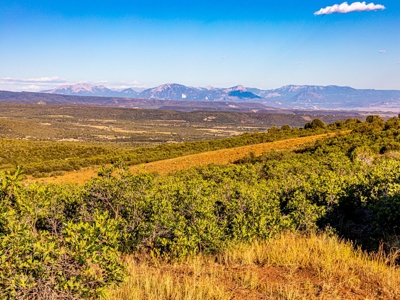 Recreational Ranch With Lodge Bordering National Forest CO - image 35