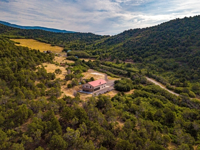 Recreational Ranch With Lodge Bordering National Forest CO - image 2