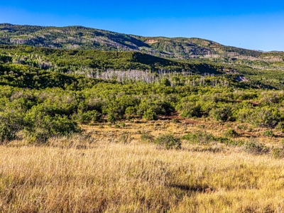 Recreational Ranch With Lodge Bordering National Forest CO - image 34
