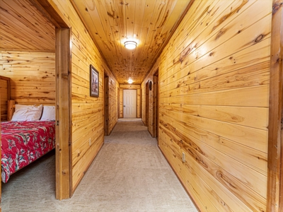 Recreational Ranch With Lodge Bordering National Forest CO - image 21