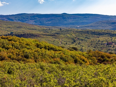 Recreational Ranch With Lodge Bordering National Forest CO - image 41