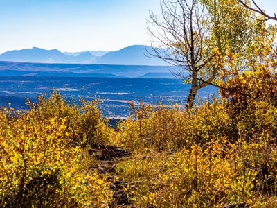 Recreational Ranch With Lodge Bordering National Forest CO - image 47