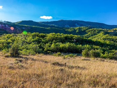 Recreational Ranch With Lodge Bordering National Forest CO - image 33