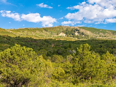 Recreational Ranch With Lodge Bordering National Forest CO - image 42