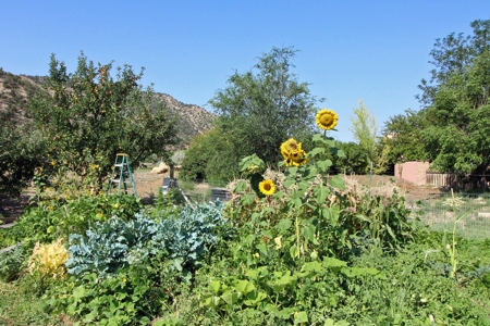 Custom home on 62 acres in McElmo Canyon, Colorado. - image 12