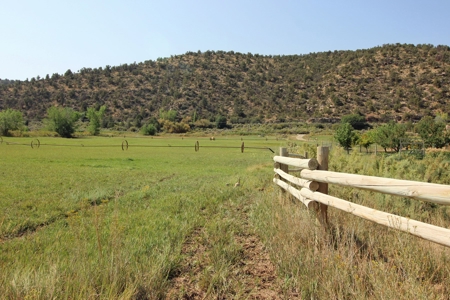 Custom home on 62 acres in McElmo Canyon, Colorado. - image 9