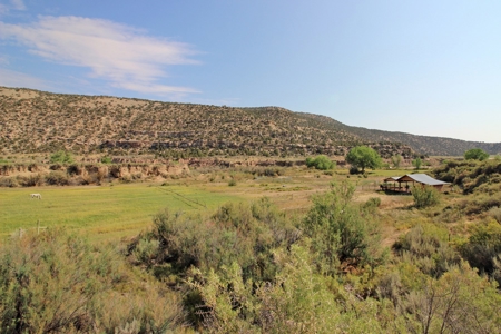 Custom home on 62 acres in McElmo Canyon, Colorado. - image 17