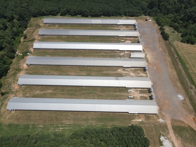 East Texas Poultry Farm for Sale - image 6