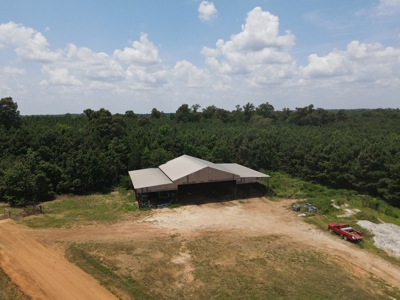 East Texas Poultry Farm for Sale - image 2