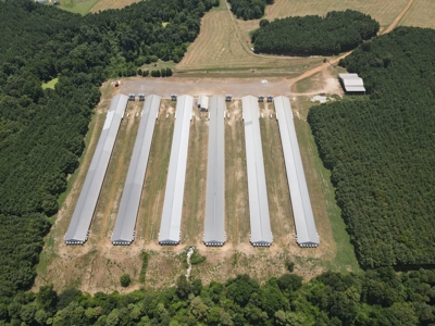 East Texas Poultry Farm for Sale - image 5