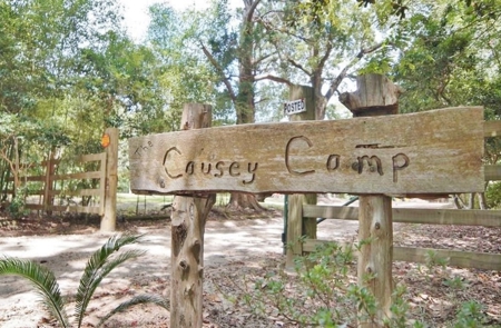 Hunting Land for Sale, Mature Hardwoods Wilkinson County, MS - image 22