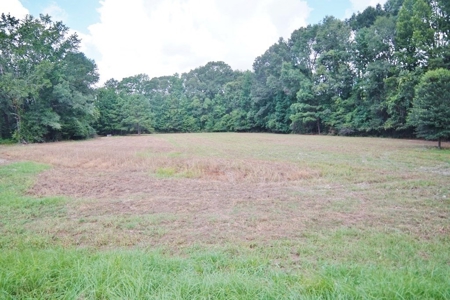 Hunting Land for Sale, Mature Hardwoods Wilkinson County, MS - image 15