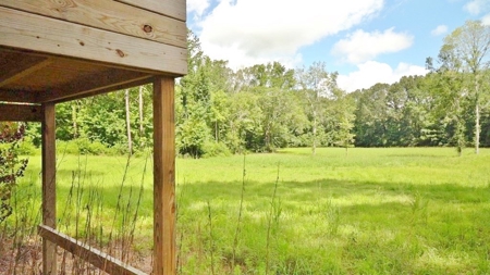 Hunting Land for Sale, Mature Hardwoods Wilkinson County, MS - image 8