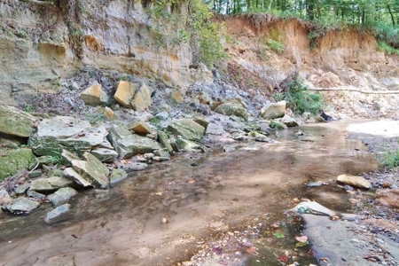 Hunting Land for Sale, Mature Hardwoods Wilkinson County, MS - image 17