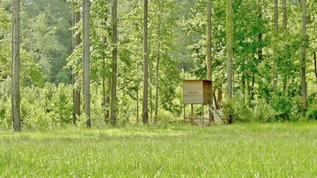 Hunting Land for Sale, Mature Hardwoods Wilkinson County, MS - image 29