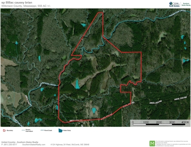 Hunting Land for Sale, Mature Hardwoods Wilkinson County, MS - image 32