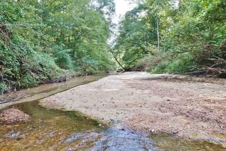 Hunting Land for Sale, Mature Hardwoods Wilkinson County, MS - image 25