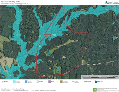 Hunting Land for Sale, Mature Hardwoods Wilkinson County, MS - image 33