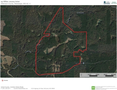 Hunting Land for Sale, Mature Hardwoods Wilkinson County, MS - image 31