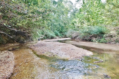 Hunting Land for Sale, Mature Hardwoods Wilkinson County, MS