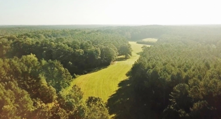 Hunting Land for Sale, Mature Hardwoods Wilkinson County, MS - image 3