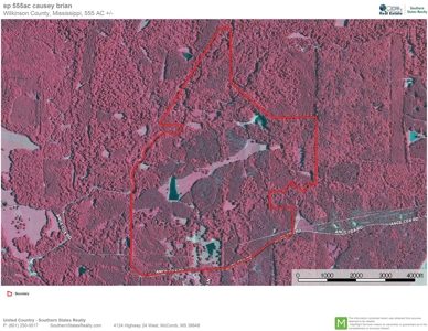 Hunting Land for Sale, Mature Hardwoods Wilkinson County, MS - image 35