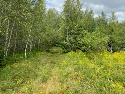 Land for Sale in Farmington, Maine - image 3