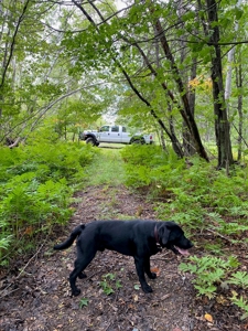 Land for Sale in Farmington, Maine - image 5