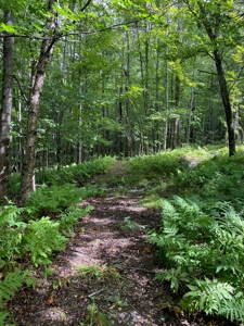 Land for Sale in Farmington, Maine - image 7