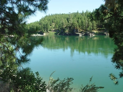 Clark Fork Riverfront Land For Sale - image 6