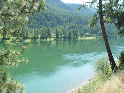 Clark Fork Riverfront Land For Sale - image 7