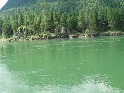 Clark Fork Riverfront Land For Sale - image 4