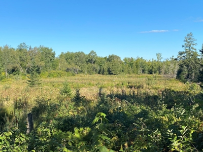 Maine Hunting and Recreational Land For Sale - image 1
