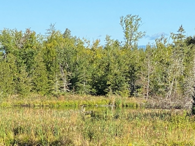 Maine Hunting and Recreational Land For Sale - image 3