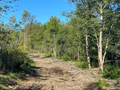 Maine Hunting and Recreational Land For Sale - image 4