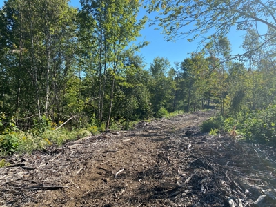 Maine Hunting and Recreational Land For Sale - image 6