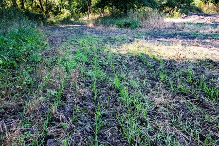 Premium Hunting in Wayne County Iowa - image 19