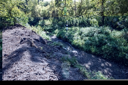 Premium Hunting in Wayne County Iowa - image 20