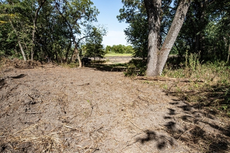 Premium Hunting in Wayne County Iowa - image 22