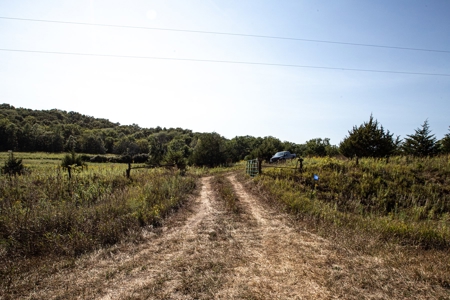 Premium Hunting in Wayne County Iowa - image 33