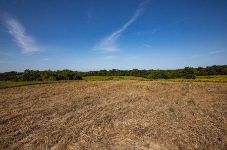 Premium Hunting in Wayne County Iowa - image 39
