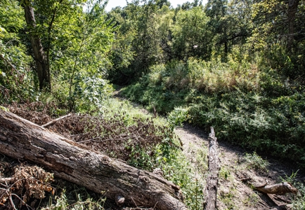 Premium Hunting in Wayne County Iowa - image 21